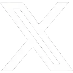 x icon